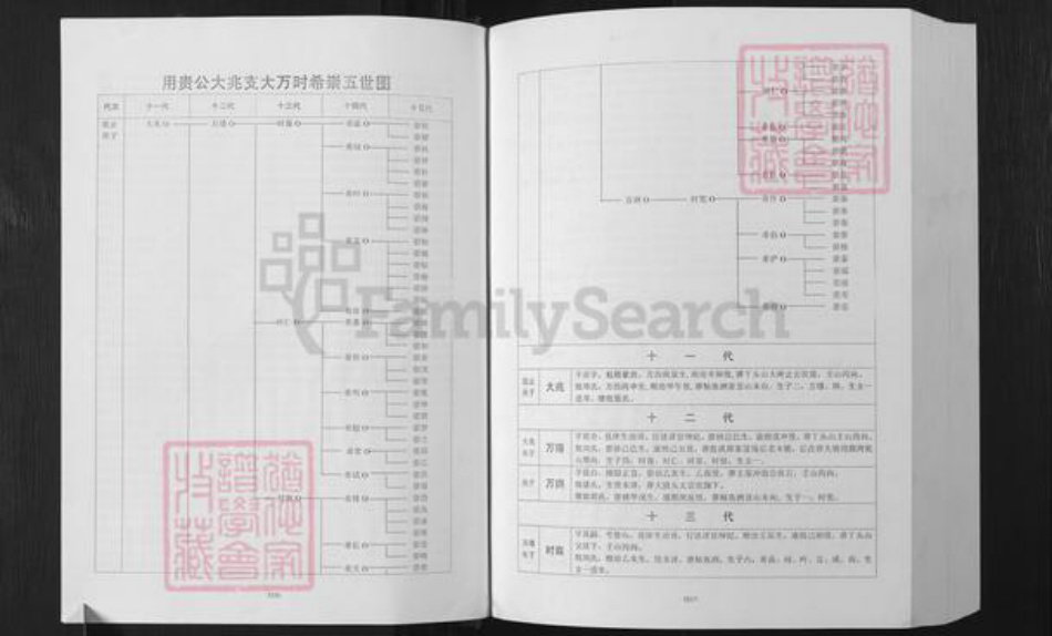 湖南省益阳市安化县小淹镇湖南省益阳市安化县夏氏会稽堂族谱-湖南夏氏子章公十一修族谱.pdf电子版插图5