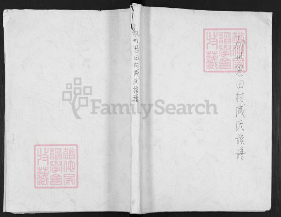 江苏省徐州市邳州市邢楼镇咸氏族谱-邳州思田村咸氏族谱.pdf电子版