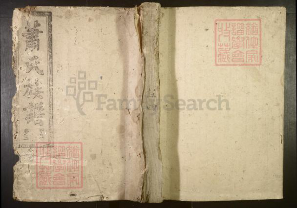 湖南省郴州市宜章县萧氏族谱-萧氏族谱.pdf电子版