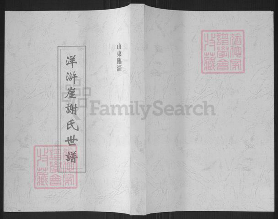 山东省淄博市临淄区谢氏族谱-洋浒崖谢氏世谱.pdf电子版