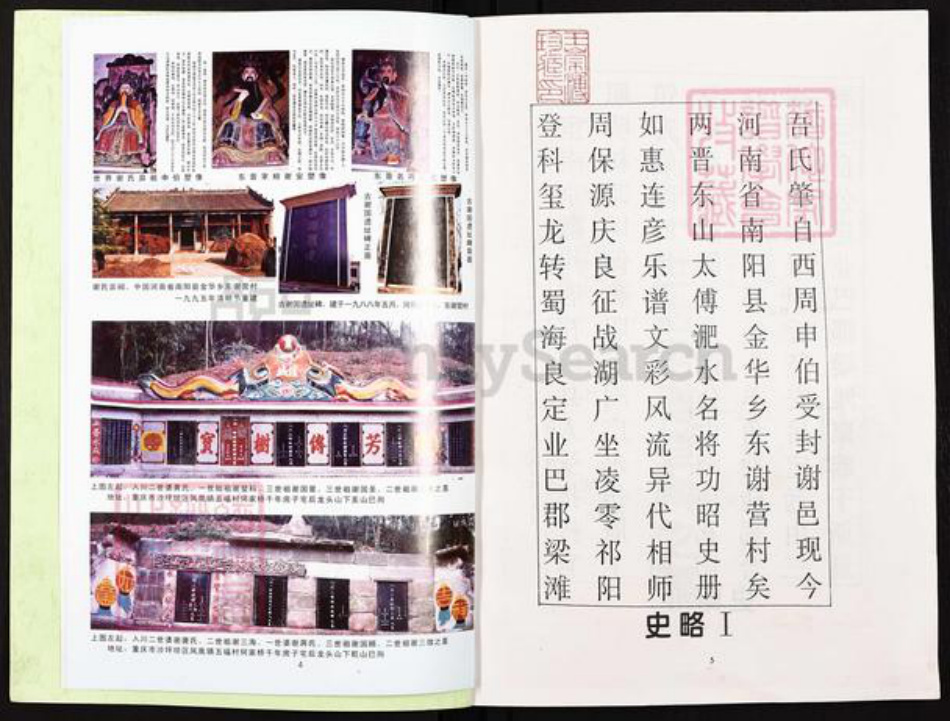 重庆市合川区谢氏宝树堂族谱-宝树堂谢氏宗谱族词.pdf电子版插图3