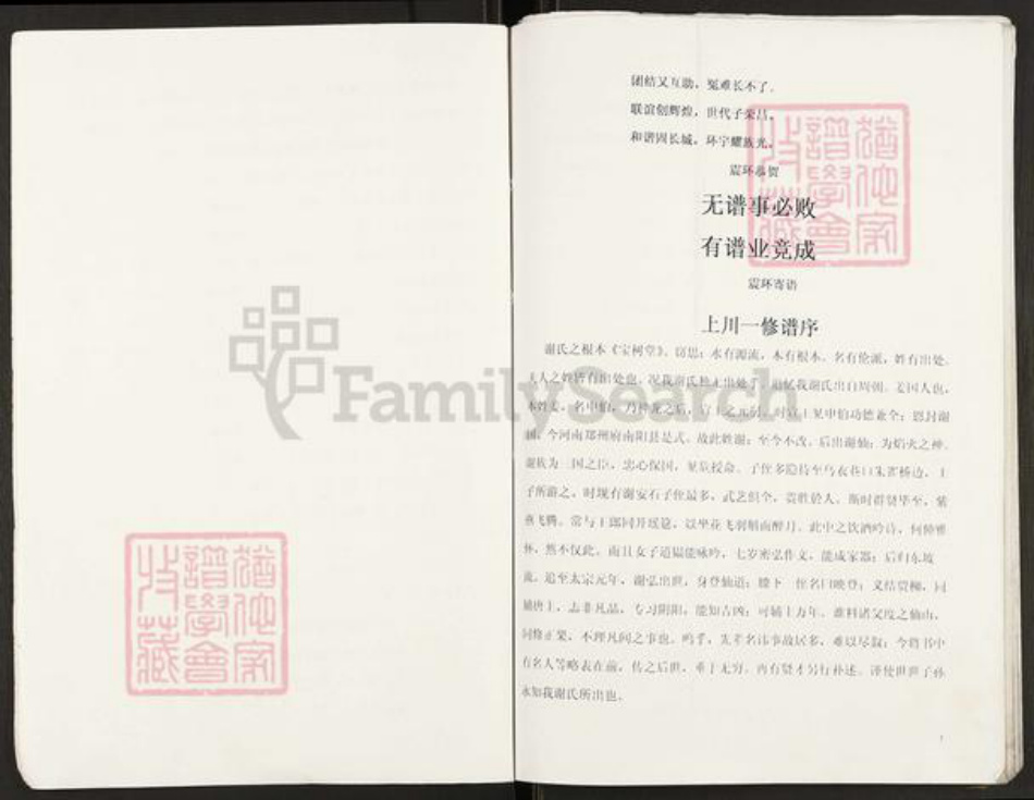 重庆市开州区谢氏宝树堂族谱-开县白鹤红果登金公后裔支谱.pdf电子版插图2