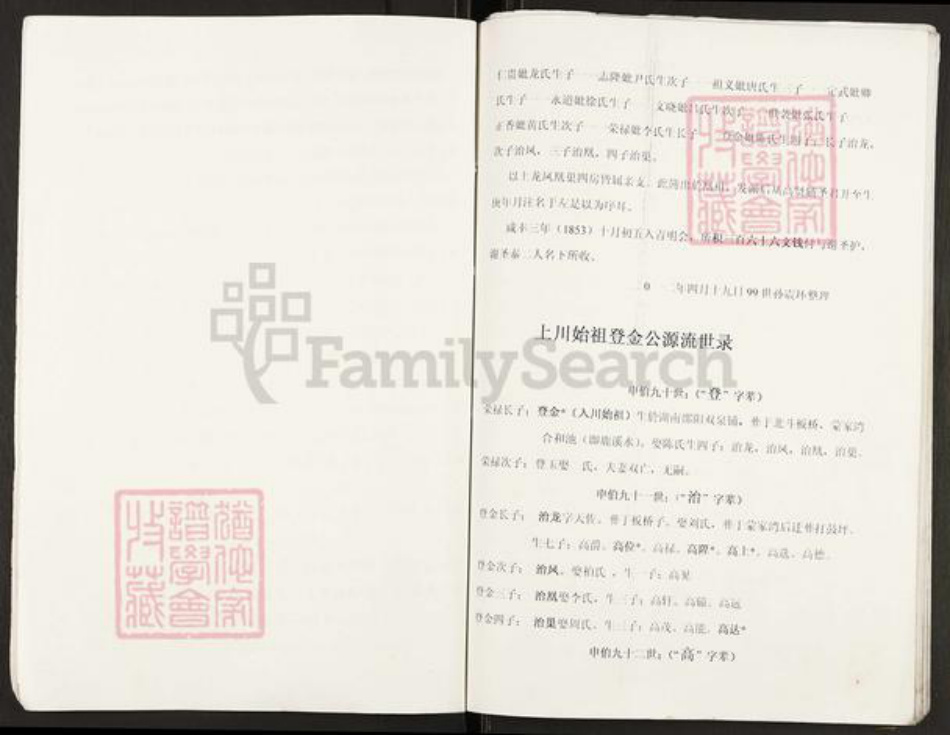 重庆市开州区谢氏宝树堂族谱-开县白鹤红果登金公后裔支谱.pdf电子版插图4