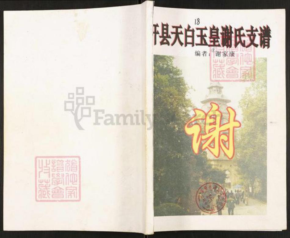 重庆市开州区谢氏宝树堂族谱-开县天白玉皇谢氏支谱.pdf电子版