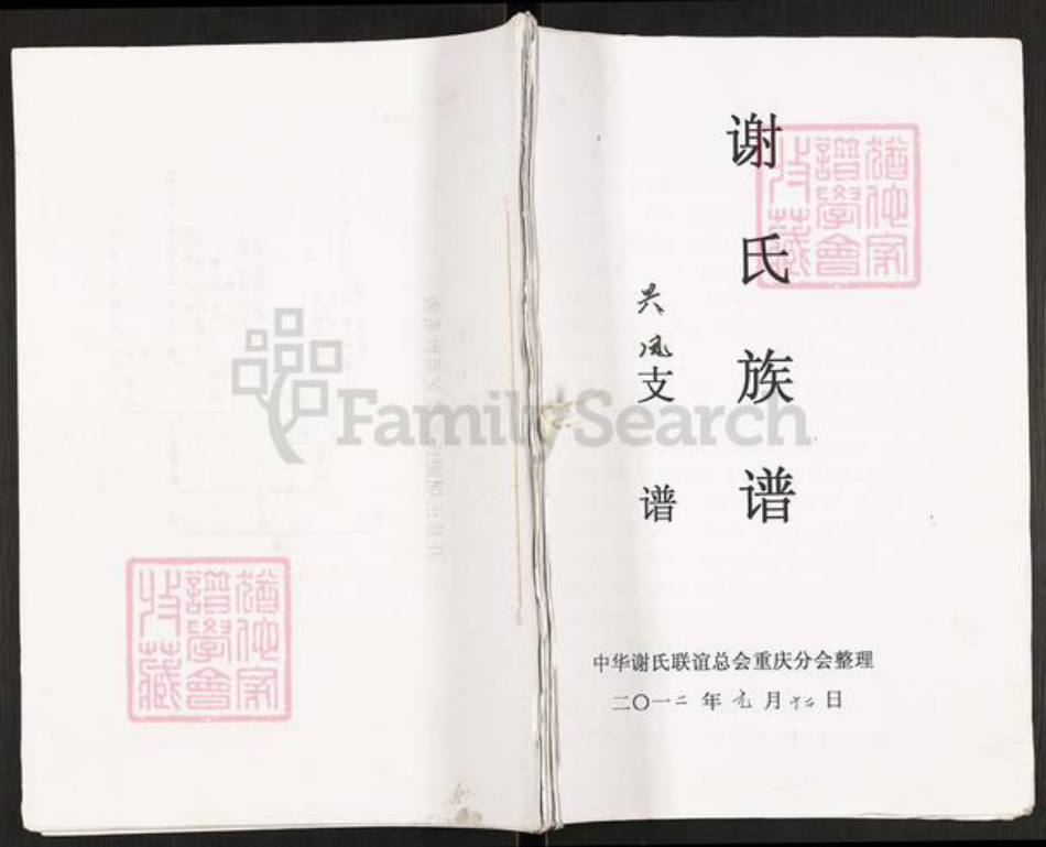 重庆市开州区谢氏族谱-谢氏族谱.pdf电子版