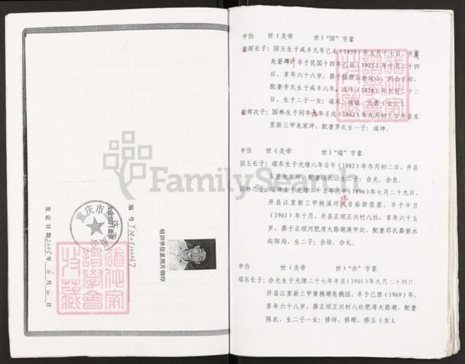 重庆市开州区谢氏族谱-谢氏族谱.pdf电子版插图4