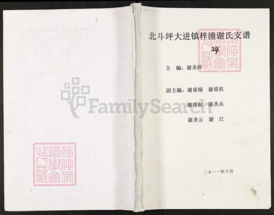 重庆市开州区谢氏宝树堂族谱-北斗坪大进镇梓潼谢氏支谱.pdf电子版