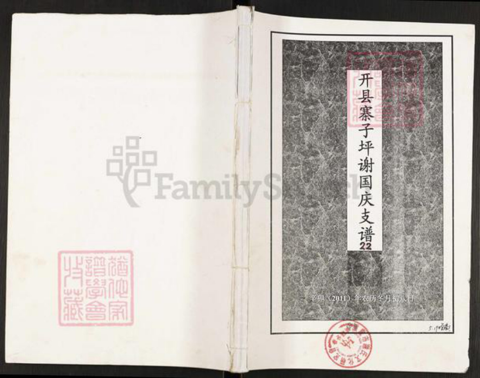 重庆市开州区谢氏宝树堂族谱-开县寨子坪谢国庆支谱.pdf电子版