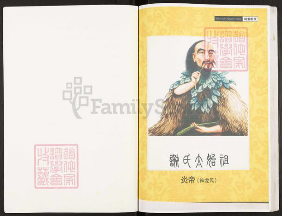 重庆市开州区谢氏宝树堂族谱-开县寨子坪谢国庆支谱.pdf电子版插图3