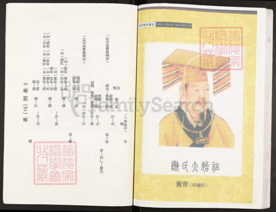 重庆市开州区谢氏宝树堂族谱-开县寨子坪谢国庆支谱.pdf电子版插图4