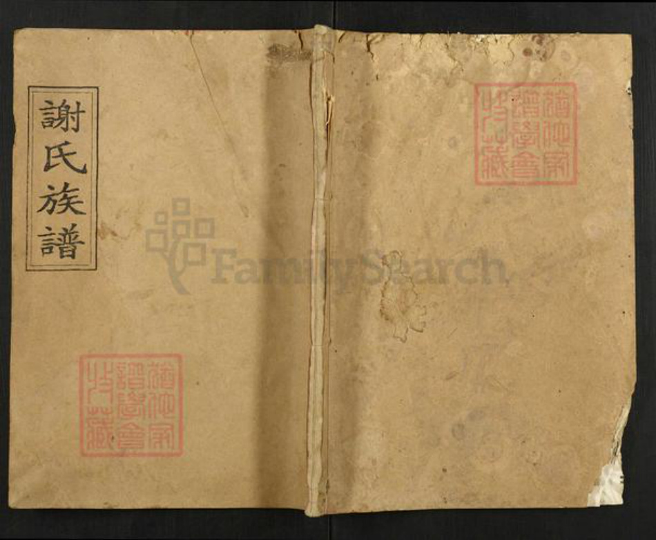 湖南省长沙市宁乡市谢氏宝树堂族谱-谢氏族谱.pdf电子版