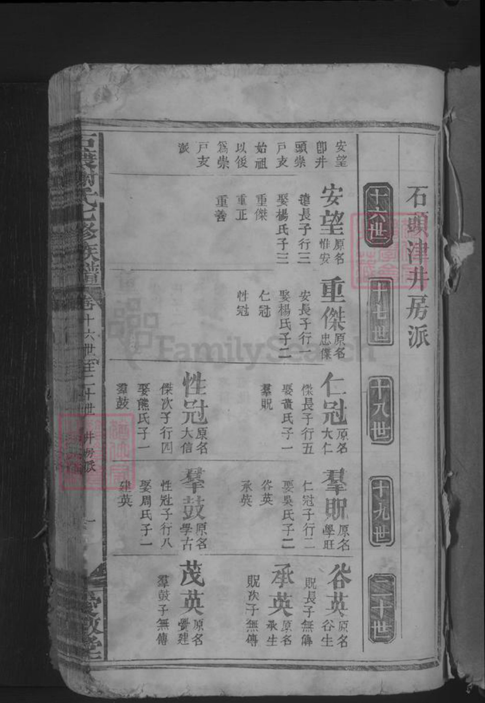 江西省吉安市谢氏族谱-石渡谢氏七修族谱 [不分卷].pdf电子版插图3