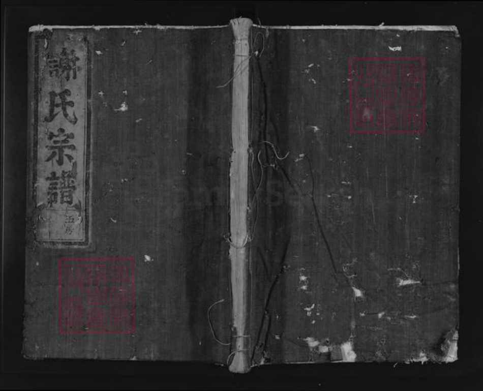 浙江省丽水市松阳县古市镇谢氏族谱-陈留谢氏宗谱.pdf电子版