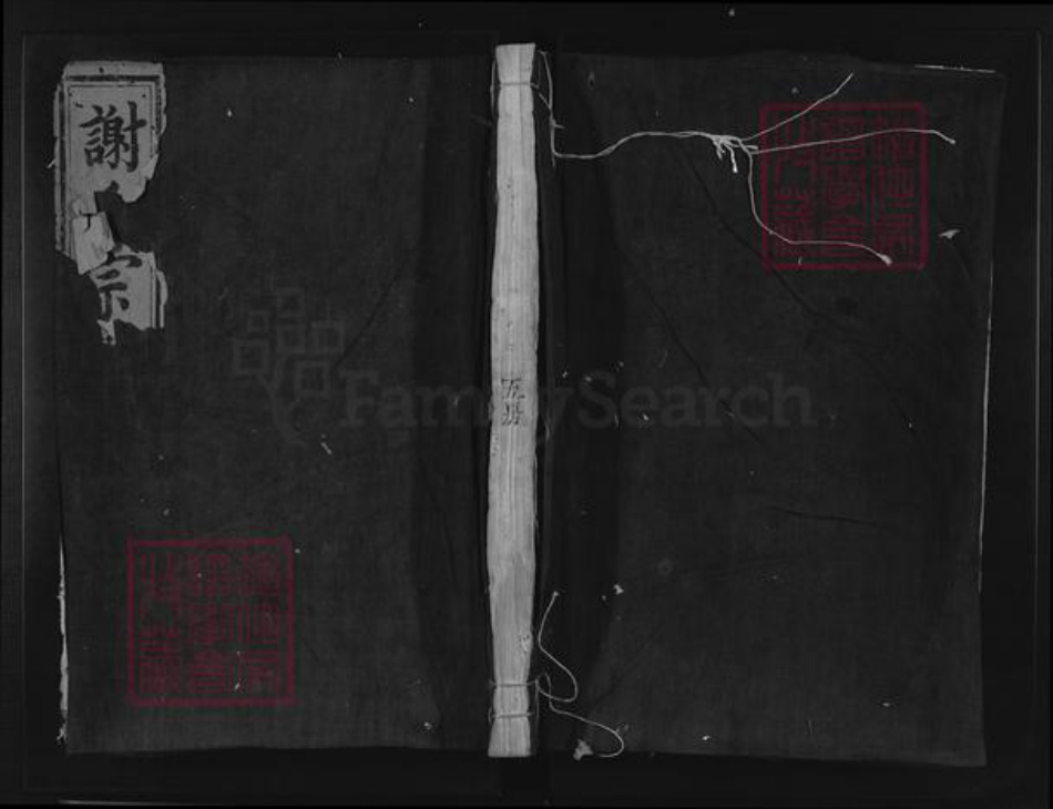 浙江省丽水市松阳县谢氏族谱-陈留谢氏宗谱.pdf电子版