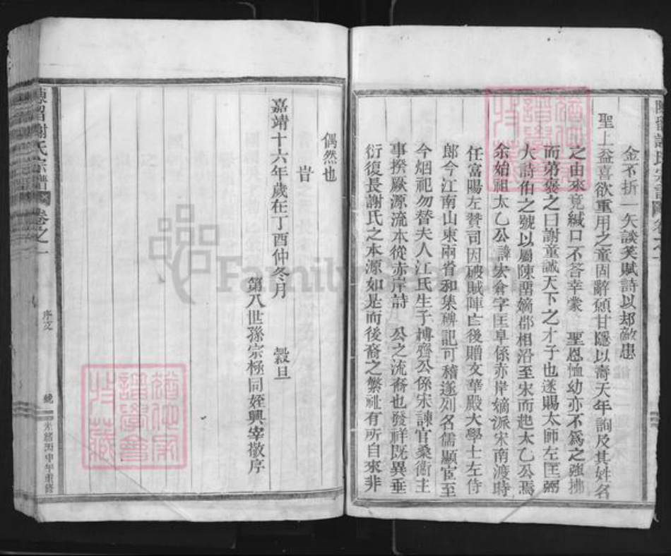 浙江省丽水市松阳县谢氏族谱-陈留谢氏宗谱.pdf电子版插图5 浙江省丽水市松阳县谢氏族谱-陈留谢氏宗谱.pdf电子版插图5