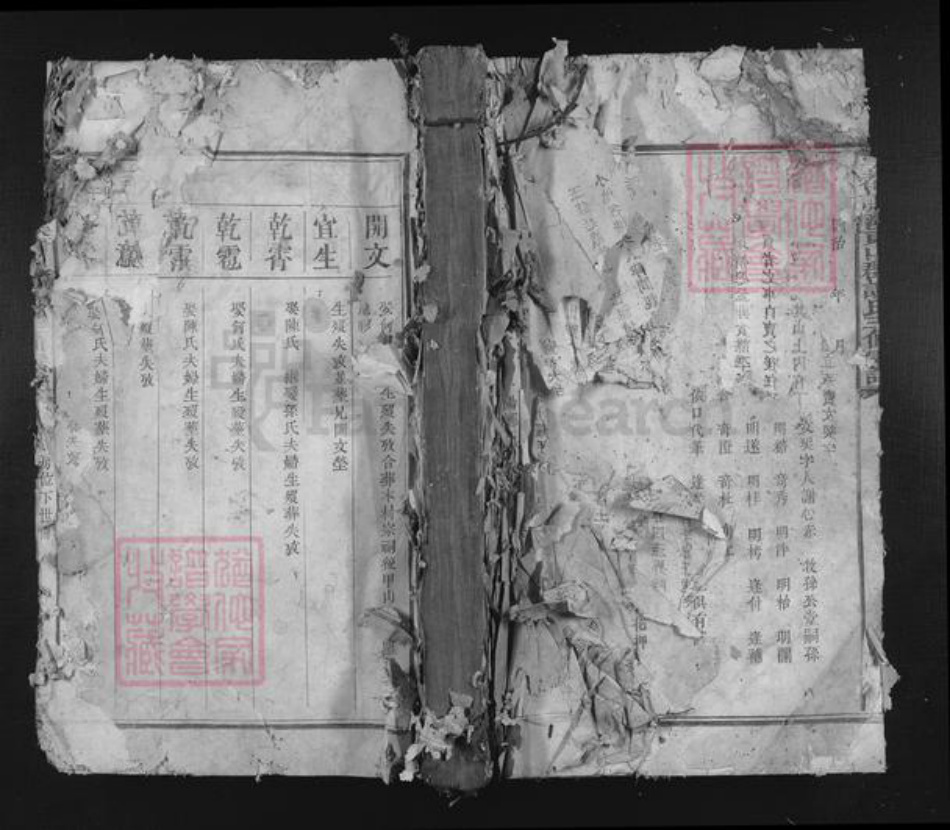 江西省赣州市于都县谢氏族谱-雩都谢溪东山郡谢氏三修族谱.pdf电子版