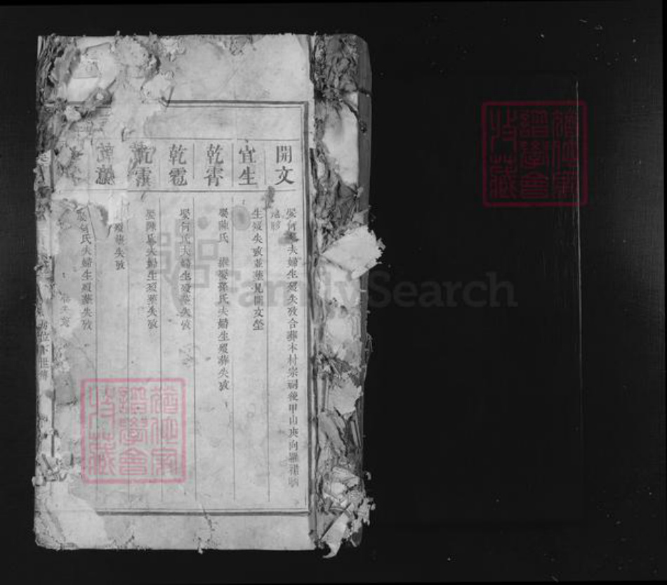 江西省赣州市于都县谢氏族谱-雩都谢溪东山郡谢氏三修族谱.pdf电子版插图1