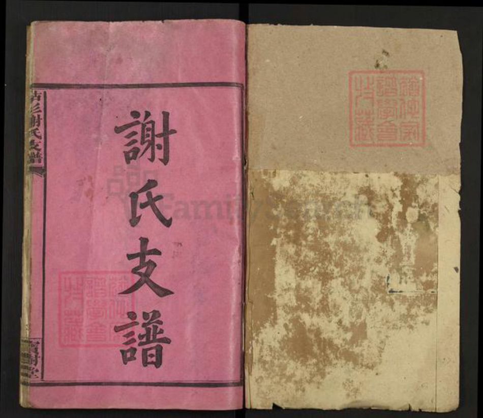 福建省三明市宁化县谢氏宝树堂族谱-枯杉谢氏支谱.pdf电子版插图1