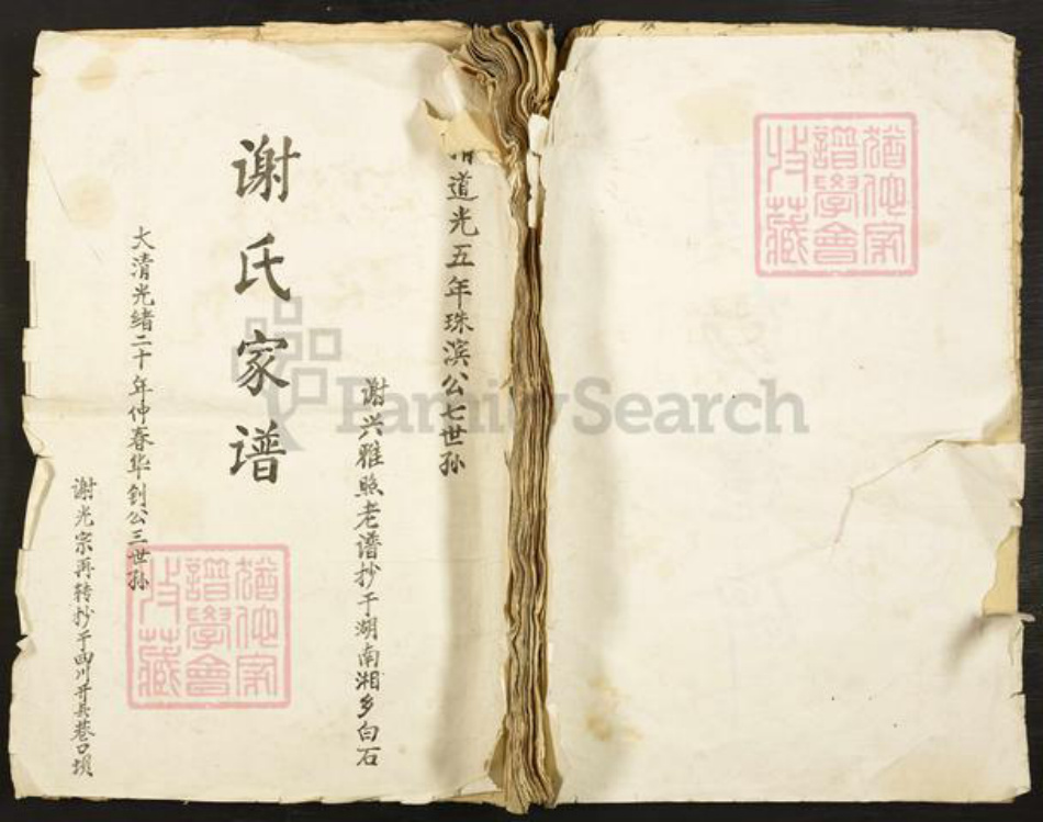 湖南省邵阳市谢氏族谱-谢氏家谱.pdf电子版