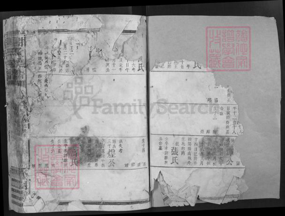 湖南省谢氏宝树堂族谱-谢氏宗谱.pdf电子版插图2 湖南省谢氏宝树堂族谱-谢氏宗谱.pdf电子版插图2