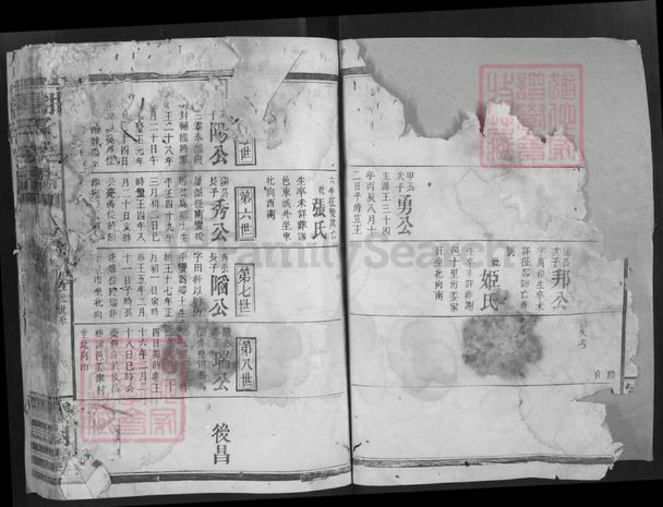 湖南省谢氏宝树堂族谱-谢氏宗谱.pdf电子版插图3 湖南省谢氏宝树堂族谱-谢氏宗谱.pdf电子版插图3