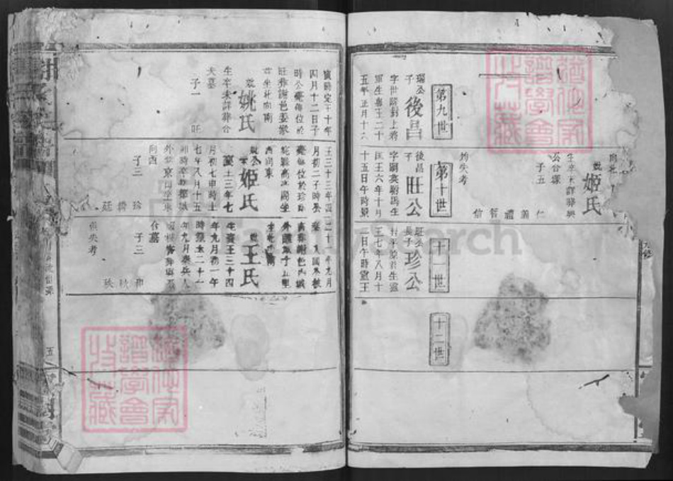 湖南省谢氏宝树堂族谱-谢氏宗谱.pdf电子版插图5 湖南省谢氏宝树堂族谱-谢氏宗谱.pdf电子版插图5