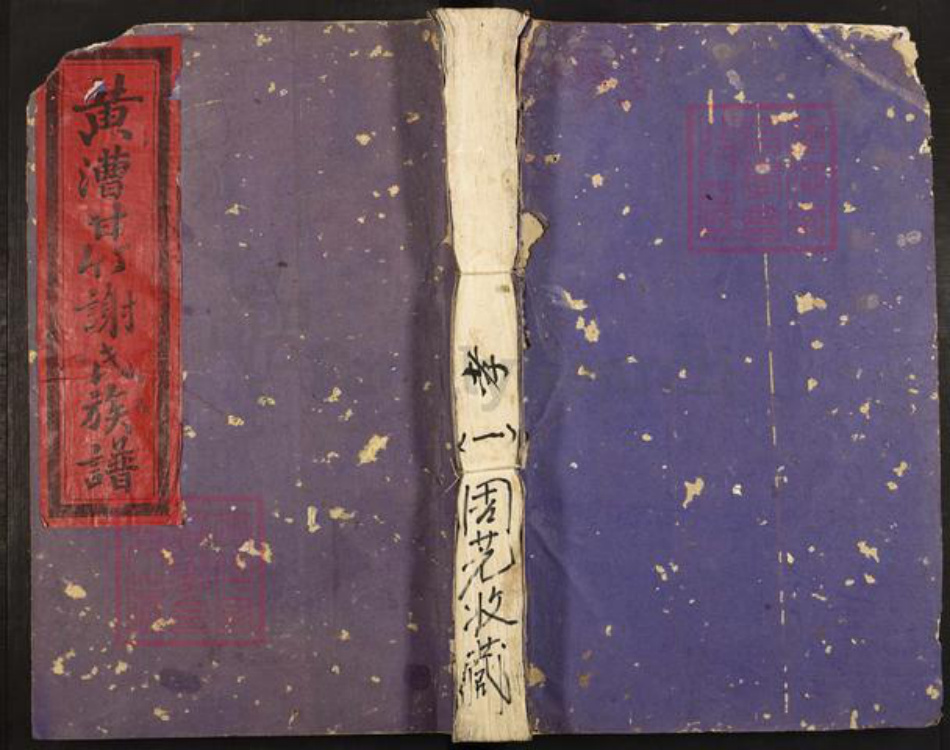 江西省吉安市泰和市禾市镇谢氏族谱-黄漕甘竹谢氏七修族谱.pdf电子版