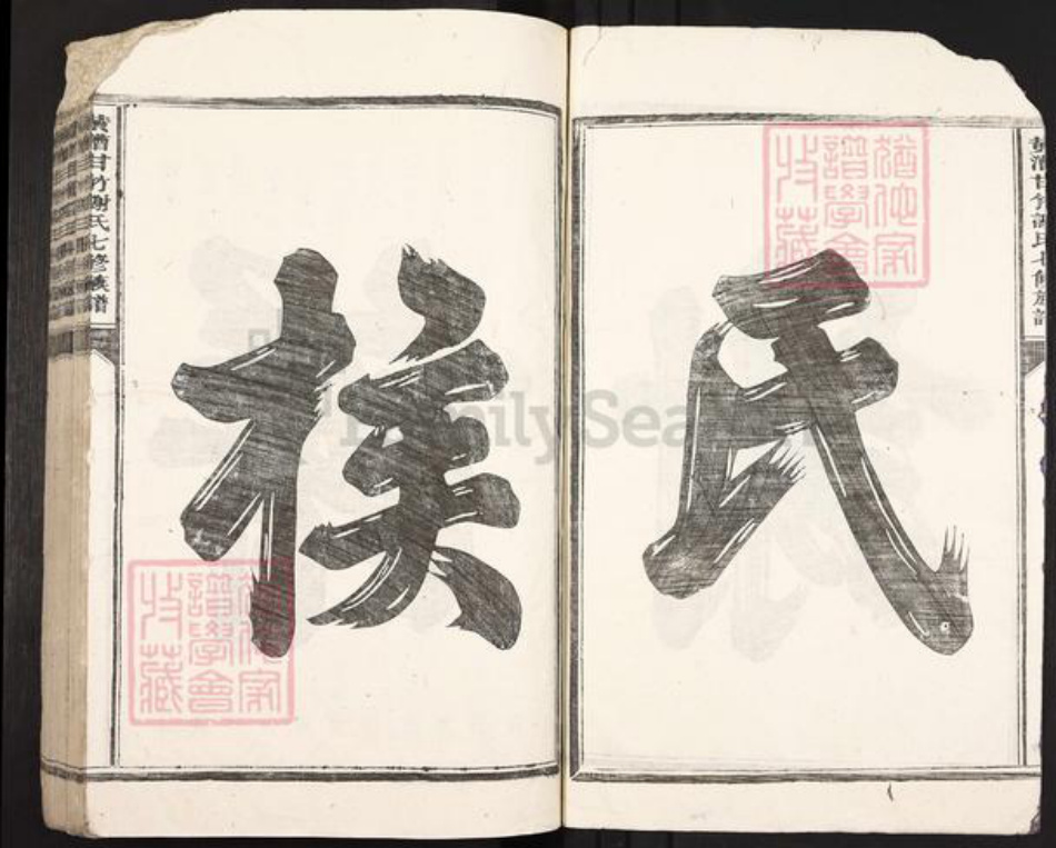 江西省吉安市泰和市禾市镇谢氏族谱-黄漕甘竹谢氏七修族谱.pdf电子版插图2 江西省吉安市泰和市禾市镇谢氏族谱-黄漕甘竹谢氏七修族谱.pdf电子版插图2