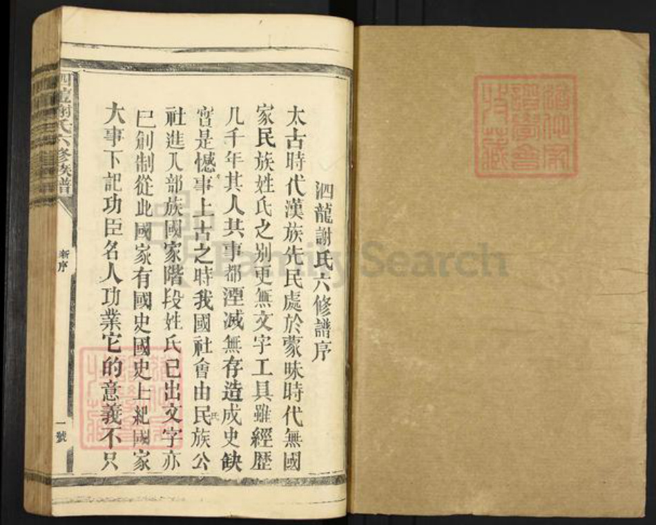 江西省赣州市宁都县谢氏族谱-泗龙谢氏六修族谱.pdf电子版插图1 江西省赣州市宁都县谢氏族谱-泗龙谢氏六修族谱.pdf电子版插图1