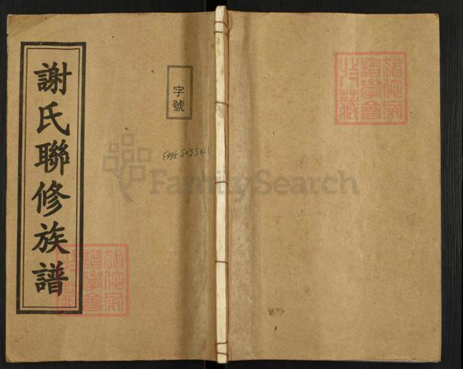 湖南省衡阳市衡南县茶市镇谢氏敦宗堂族谱-楚南谢氏联修族谱.pdf电子版