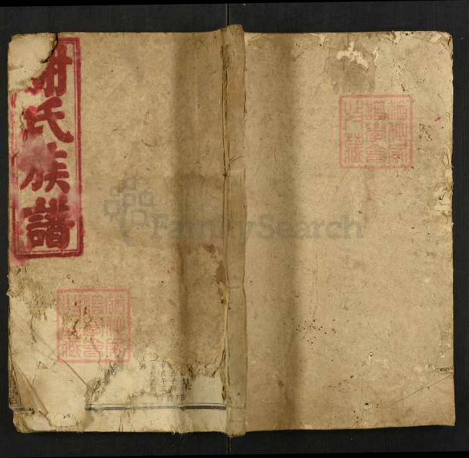 湖南省邵阳市谢氏宝树堂族谱-邵陵谢氏三修族谱.pdf电子版