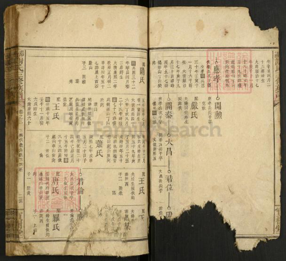 湖南省邵阳市谢氏宝树堂族谱-邵陵谢氏三修族谱.pdf电子版插图2