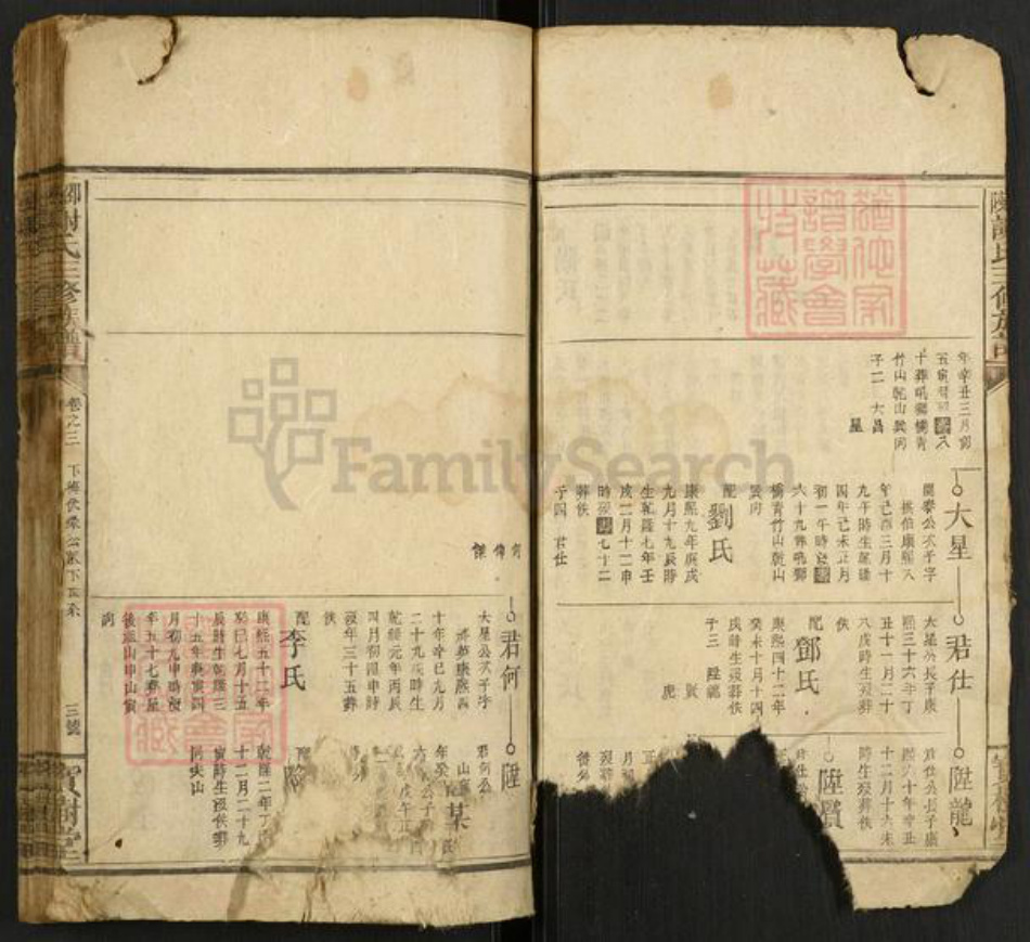 湖南省邵阳市谢氏宝树堂族谱-邵陵谢氏三修族谱.pdf电子版插图3