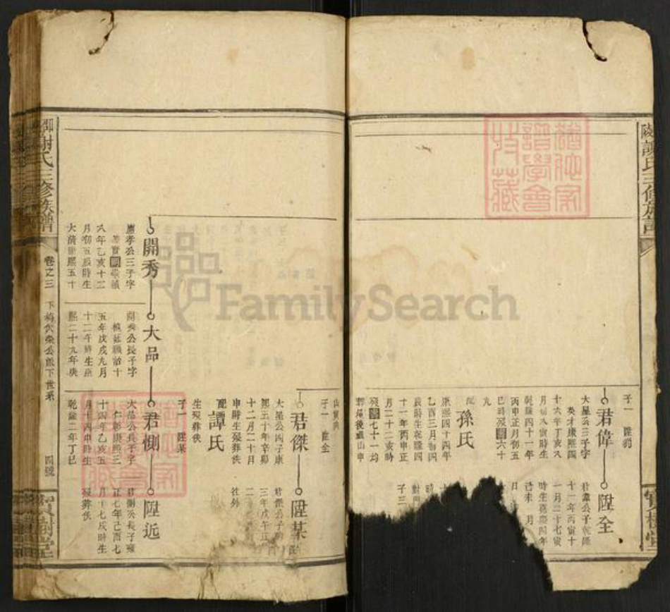 湖南省邵阳市谢氏宝树堂族谱-邵陵谢氏三修族谱.pdf电子版插图4