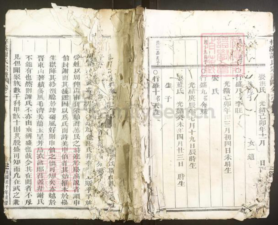 浙江省金华市武义县谢氏族谱-梓溪谢氏宗谱.pdf电子版