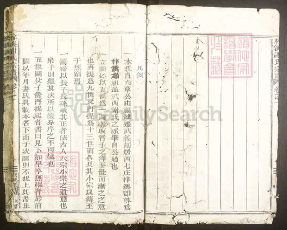 浙江省金华市武义县谢氏族谱-梓溪谢氏宗谱.pdf电子版插图4