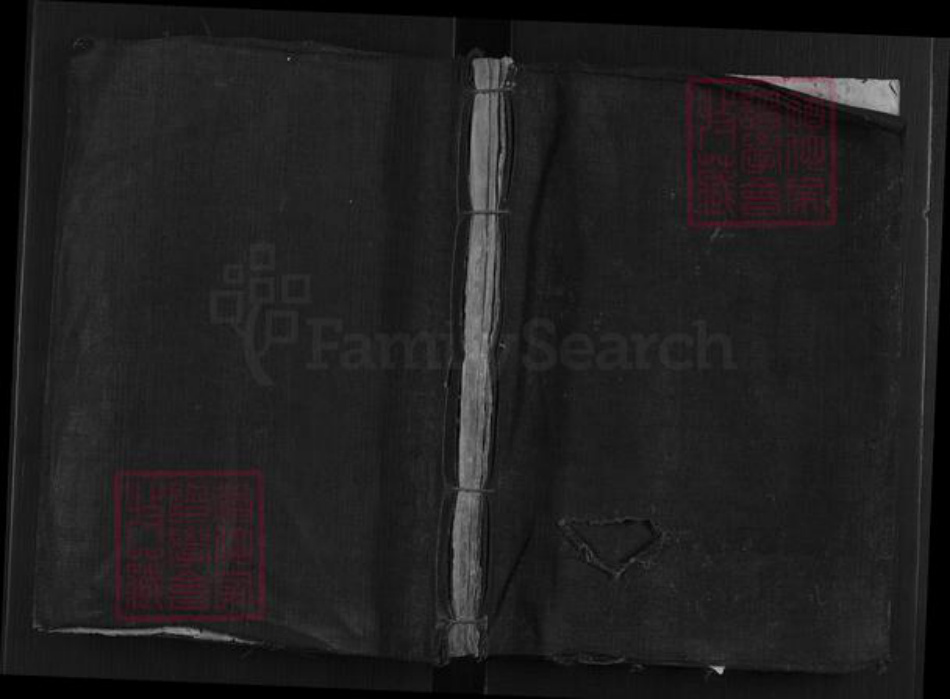 江西省赣州市赣县区谢氏族谱-大由谢氏族谱[不分卷].pdf电子版