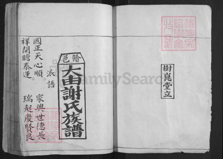 江西省赣州市赣县区谢氏族谱-大由谢氏族谱[不分卷].pdf电子版插图1