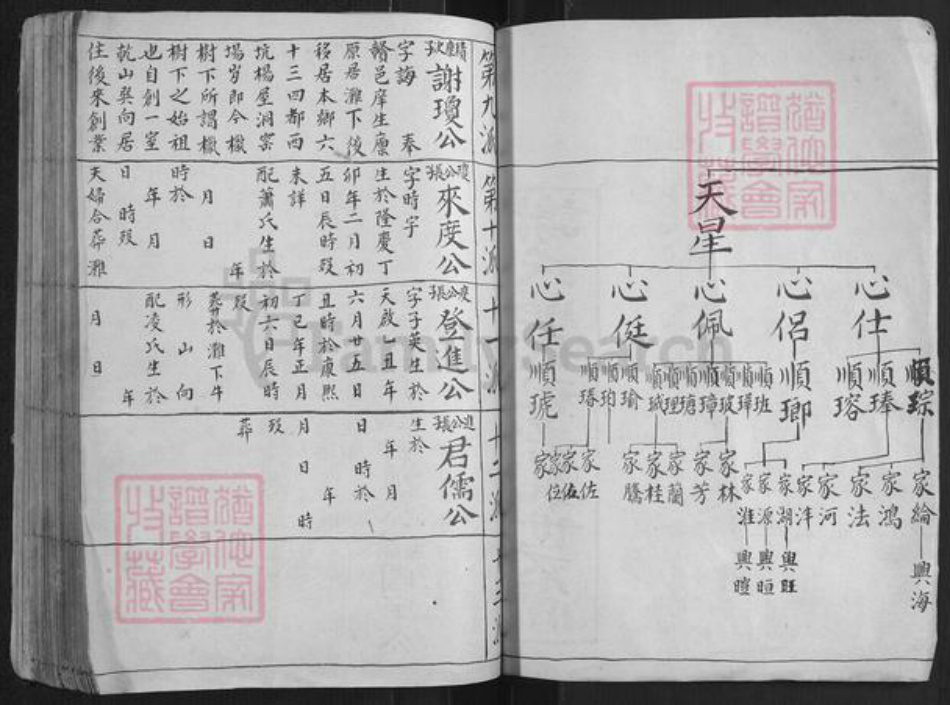 江西省赣州市赣县区谢氏族谱-大由谢氏族谱[不分卷].pdf电子版插图4