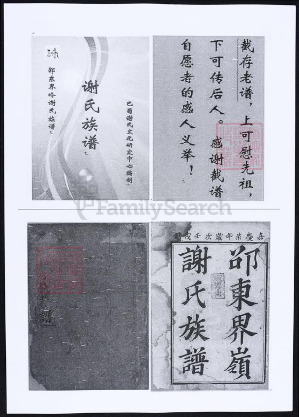 湖南省邵阳市谢氏族谱-谢氏族谱.pdf电子版