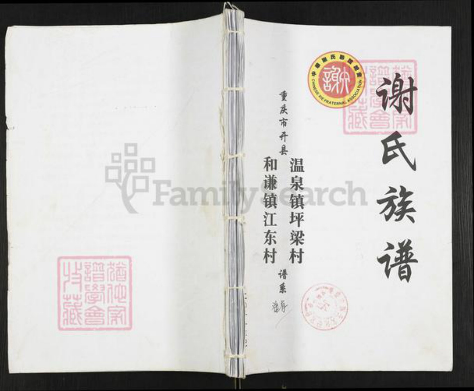 重庆市开州区重庆市万州开县谢；谢氏族谱-谢氏族谱.pdf电子版