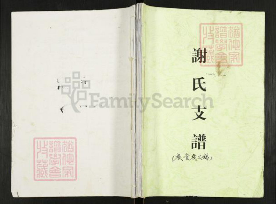 重庆市开州区重庆市万州开县谢；谢氏宝树堂族谱-谢氏支谱.pdf电子版