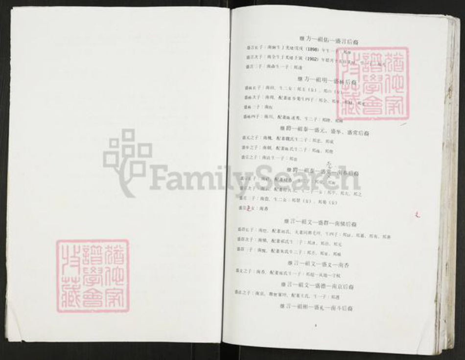 重庆市开州区重庆市万州开县谢；谢氏宝树堂族谱-谢氏支谱.pdf电子版插图3