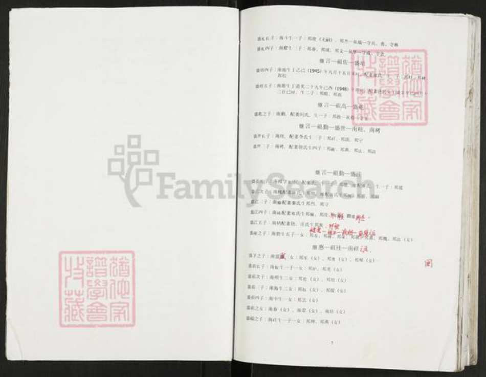 重庆市开州区重庆市万州开县谢；谢氏宝树堂族谱-谢氏支谱.pdf电子版插图4