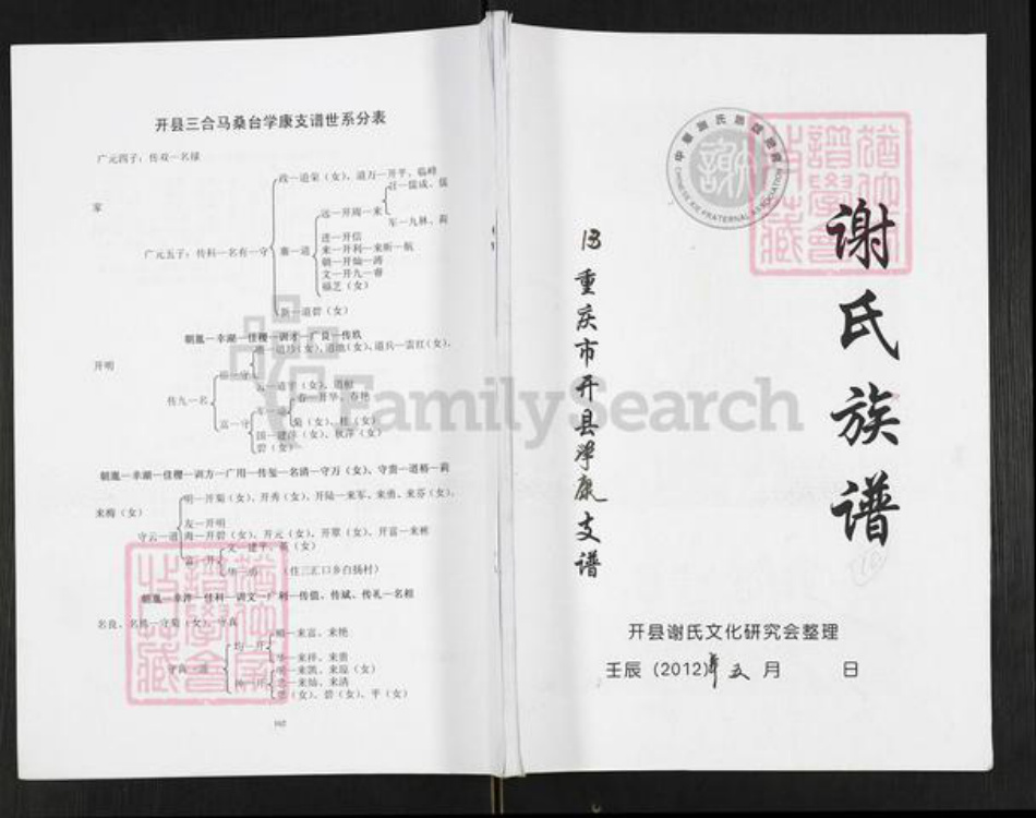 重庆市万州开县谢；谢氏宝树堂族谱-谢氏族谱.重庆市开县学康支谱.pdf电子版