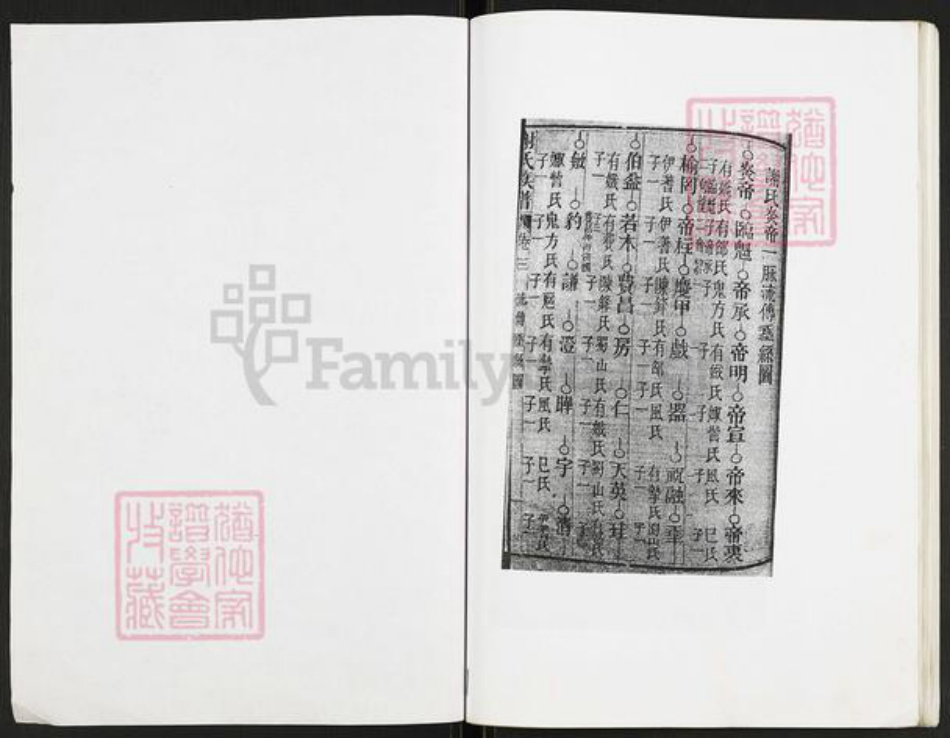 重庆市开州区重庆市万州开县谢；谢氏族谱-谢氏族谱.pdf电子版插图2