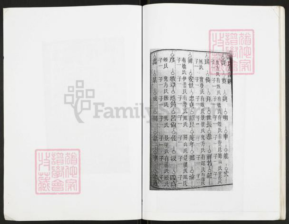 重庆市开州区重庆市万州开县谢；谢氏族谱-谢氏族谱.pdf电子版插图3