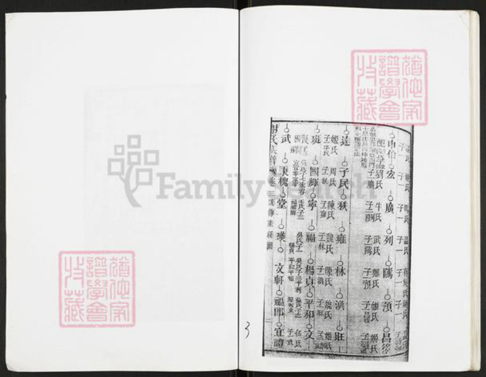 重庆市开州区重庆市万州开县谢；谢氏族谱-谢氏族谱.pdf电子版插图4