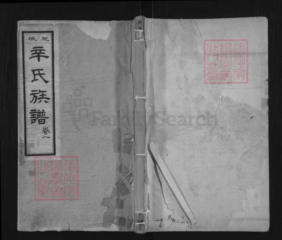 山东省泰安市肥城市辛氏族谱-肥城辛氏族谱.pdf电子版