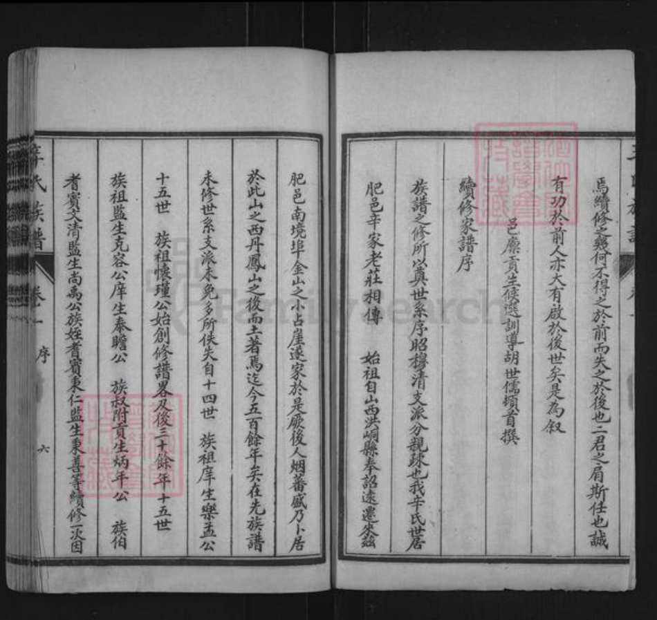 山东省泰安市肥城市辛氏族谱-肥城辛氏族谱.pdf电子版插图2 山东省泰安市肥城市辛氏族谱-肥城辛氏族谱.pdf电子版插图2